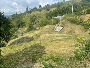 Venta Lote Cabaña, Manizales, código 4632707