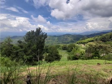 Venta Lote Cabaña, Manizales, código 4632707