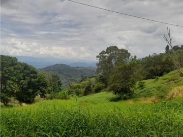 Venta Lote Cabaña, Manizales, código 4632707