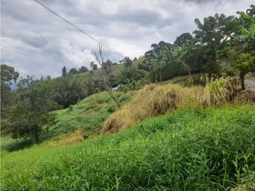 Venta Lote Cabaña, Manizales, código 4632707