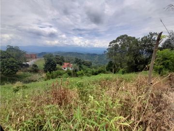 Venta Lote Cabaña, Manizales, código 4632707