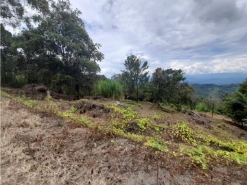 Venta Lote Cabaña, Manizales, código 4632707