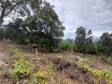 Venta Lote Cabaña, Manizales, código 4632707