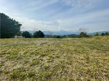 Venta Lote Cabaña, Manizales, código 4632707