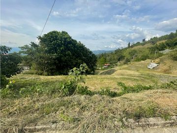 Venta Lote Cabaña, Manizales, código 4632707