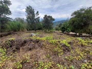Venta Lote Cabaña, Manizales, código 4632707