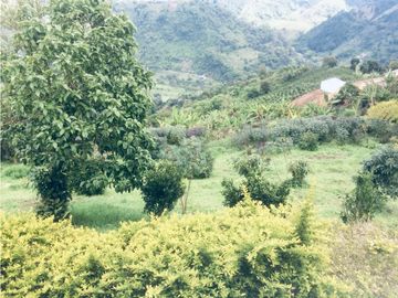 Venta Finca en la Vereda Llanitos, Villamaría – Código 4301748