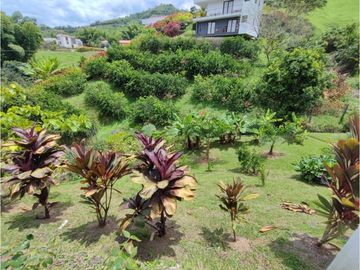 Venta Casa campestre San Bernardo del Viento, Manizales, COD 9484907