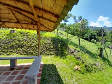 Venta Finca, Quiebra de Vélez, Manizales  Cod. 7423707