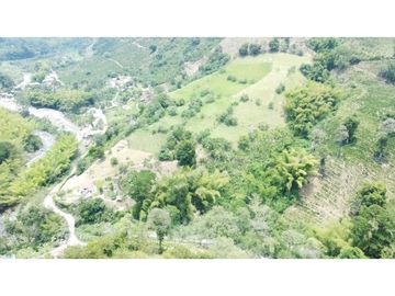 Venta Finca, Quiebra de Vélez, Manizales  Cod. 7423707