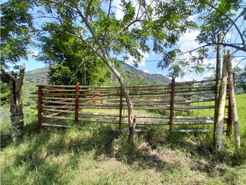Venta Finca, Quiebra de Vélez, Manizales  Cod. 7423707