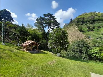 Venta Finca, Quiebra de Vélez, Manizales  Cod. 7423707