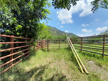 Venta Finca, Quiebra de Vélez, Manizales  Cod. 7423707