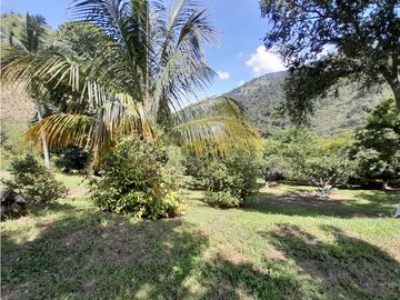 Venta Finca, Quiebra de Vélez, Manizales  Cod. 7423707
