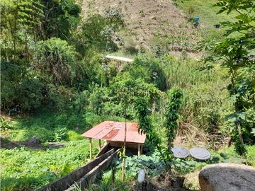Venta Finca, Quiebra de Vélez, Manizales  Cod. 7423707