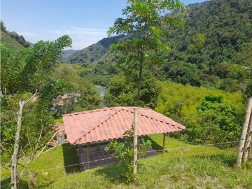 Venta Finca, Quiebra de Vélez, Manizales  Cod. 7423707