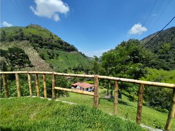 Venta Finca, Quiebra de Vélez, Manizales  Cod. 7423707
