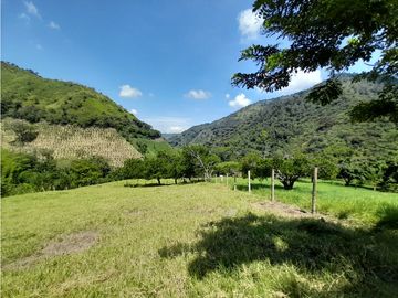 Venta Finca, Quiebra de Vélez, Manizales  Cod. 7423707