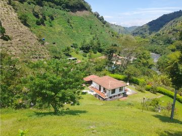 Venta Finca, Quiebra de Vélez, Manizales  Cod. 7423707