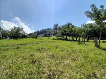 Venta Finca, Quiebra de Vélez, Manizales  Cod. 7423707