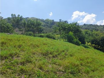 Venta Finca, Quiebra de Vélez, Manizales  Cod. 7423707