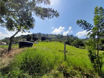 Venta Finca, Quiebra de Vélez, Manizales  Cod. 7423707