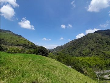 Venta Finca, Quiebra de Vélez, Manizales  Cod. 7423707