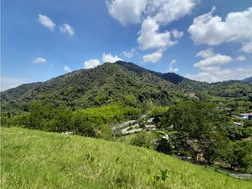 Venta Finca, Quiebra de Vélez, Manizales  Cod. 7423707