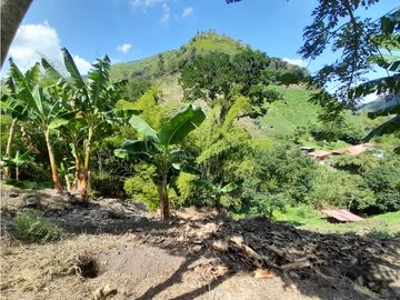 Venta Finca, Quiebra de Vélez, Manizales  Cod. 7423707