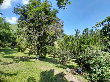 Venta Finca, Quiebra de Vélez, Manizales  Cod. 7423707