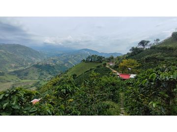 Venta de finca vereda el Naranjo CD 9023864