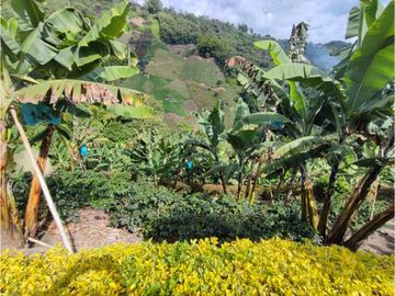 Venta Casa campestre Via la Linda, Manizales, COD 9433857