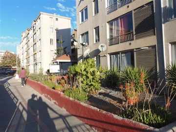 Departamento en Venta en Villasana con Juan Castellón