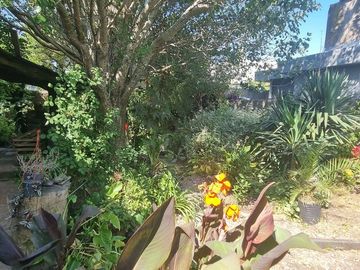 Venta Lote 374 m² Zonificacion E1 Juan B Justo