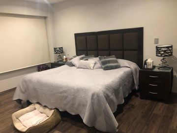 Departamento en Renta en Bosque Real