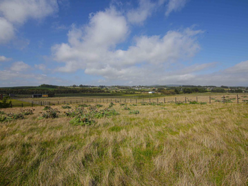 VENTA TERRENO - SITIO 5100MTS Pichilemu