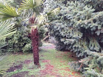 VENTA PARCELA CON CASA EN PORTAL DE ALBERTO
