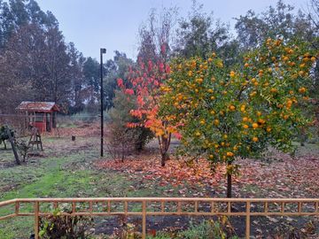 VENTA PARCELA CON CASA EN PORTAL DE ALBERTO