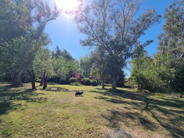 VENTA CAMPO VILLA RUIZ S A DE GILES RURAL TURISMO