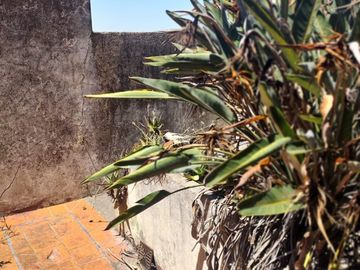 VENTA DEPOSITO EN 5 PLANTAS C/MONTACARGA