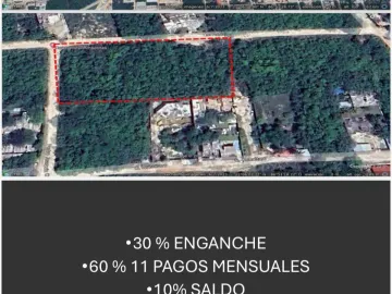 TERRENO EN VENTA CANCUN /LAS FLORES