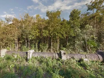 Terreno en Venta en Puerto Morelos, Quintana Roo KC0066