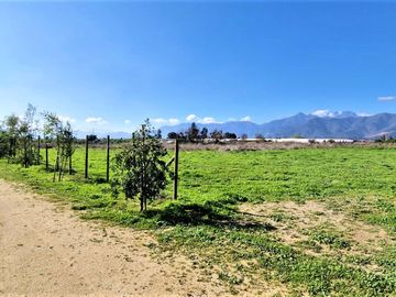 Venta de sitio de 29.375 m2., loteo dividido en 5 parcelas, con 4 canchas de Padel, en Quillota. 15.000 UF.