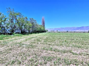 En venta parcela en San Rafael, San Felipe, 75.600 m2., en producción. 483 M$