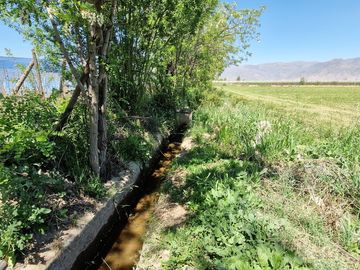 En venta parcela en San Rafael, San Felipe, 75.600 m2., en producción. 483 M$