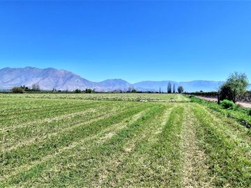 En venta parcela en San Rafael, San Felipe, 75.600 m2., en producción. 483 M$