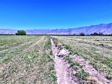 En venta parcela en San Rafael, San Felipe, 75.600 m2., en producción. 483 M$
