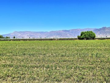 En venta parcela en San Rafael, San Felipe, 75.600 m2., en producción. 483 M$