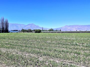 En venta parcela en San Rafael, San Felipe, 75.600 m2., en producción. 483 M$