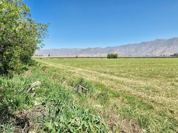 En venta parcela en San Rafael, San Felipe, 75.600 m2., en producción. 483 M$